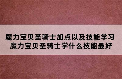 魔力宝贝圣骑士加点以及技能学习 魔力宝贝圣骑士学什么技能最好